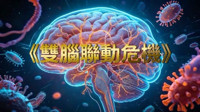 双脑联动危机