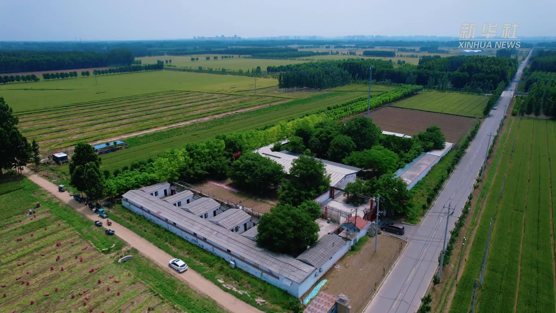 山东济宁：在博物馆里探寻千年石刻文脉