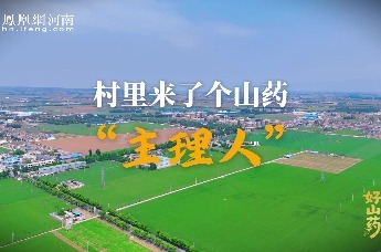 村里来了个山药“主理人”