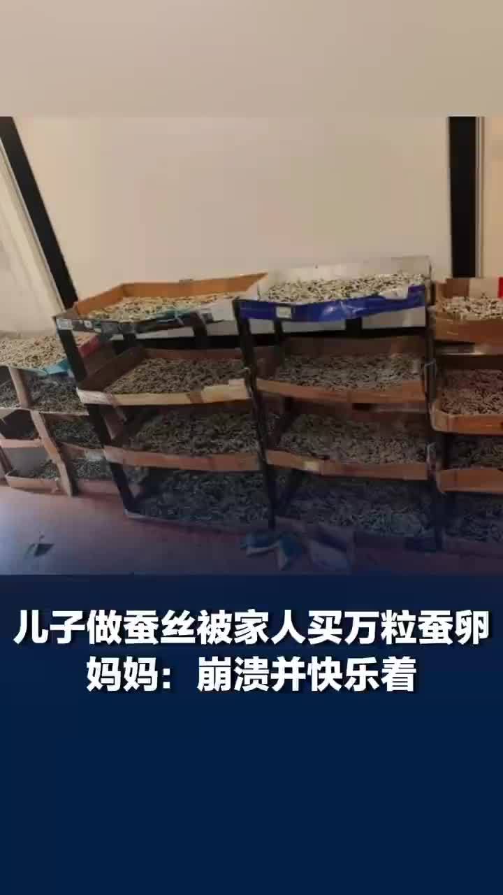 儿子想做蚕丝被家人网购1万粒蚕卵，如今12000条蚕宝宝每天要吃30斤桑叶……妈妈：崩溃并快乐着