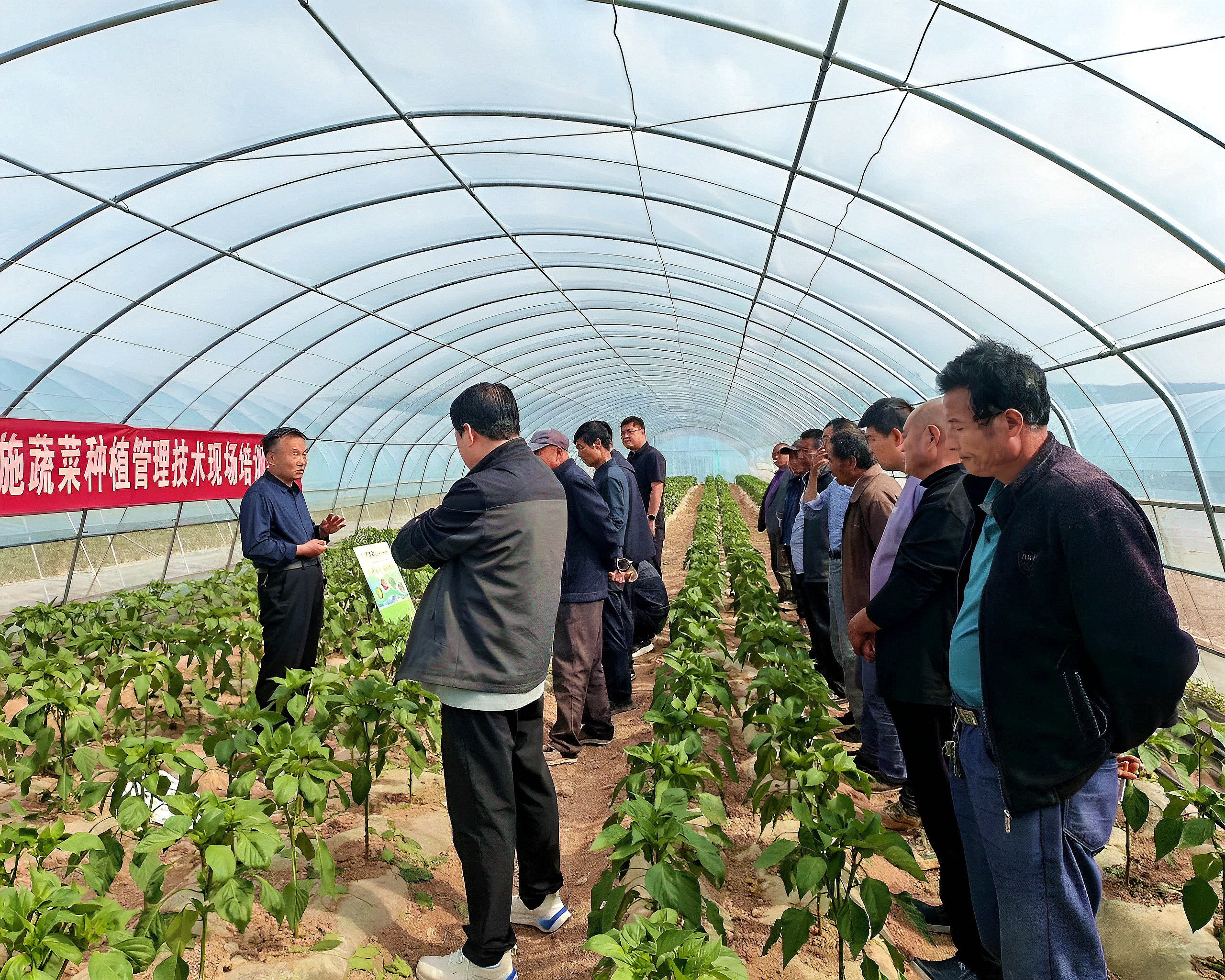 技术人员为务菜群众讲解种菜技巧.jpg