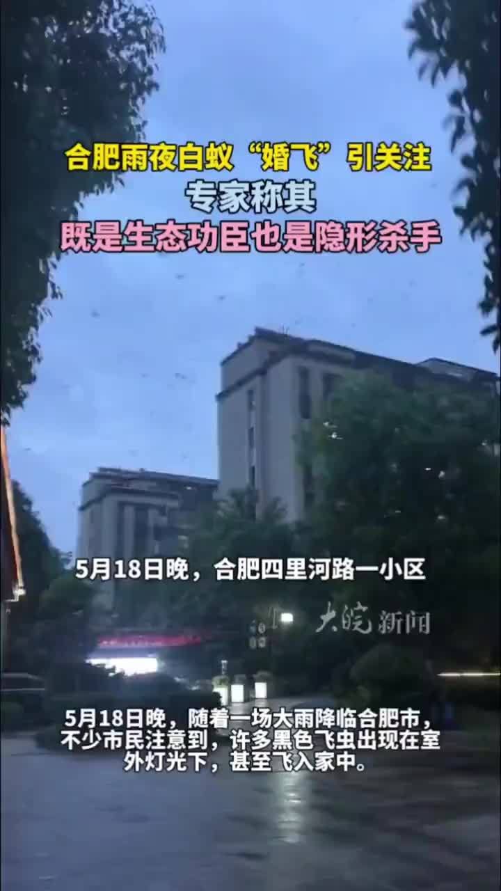 合肥雨夜白蚁“婚飞”引关注  专家称其 既是生态功臣也是隐形杀手#合肥本地 #合肥雨夜白蚁“婚飞” 大皖新闻讯  5月18日晚，随着一场大雨降临合肥市，不少市民注意到，许多黑色飞虫出现在室外灯光下，甚