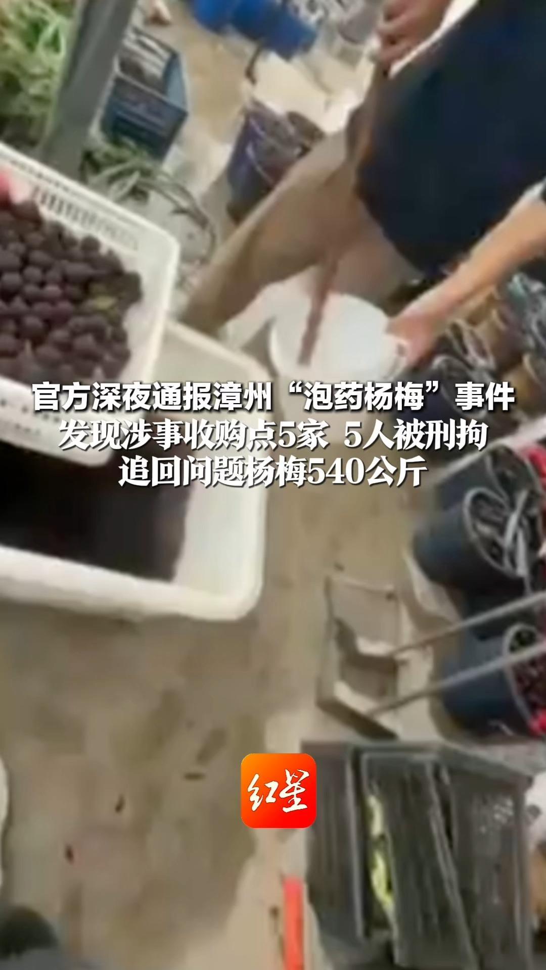 官方通报漳州“泡药杨梅”事件 发现涉事收购点5家 5人被刑拘 追回问题杨梅540公斤 当地开展45天的专项整治行动