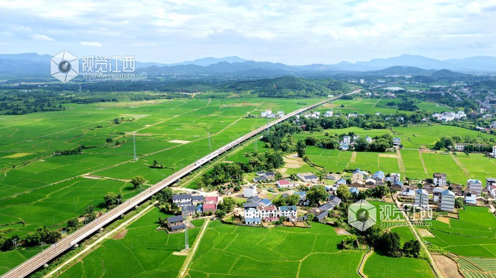 2026年5月18日，江西省吉安市峡江县水边镇义桥村境内，高铁列车飞驰在广阔的绿色田园上，与稻田、民居、青山相映成景，呈现出一幅秀美的乡村田园画卷。