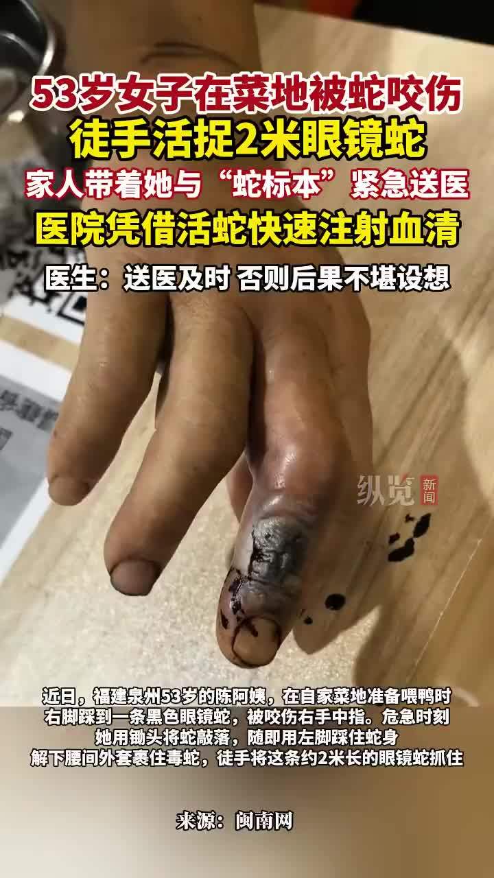 阿姨徒手活捉2米眼镜蛇