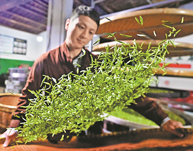 赣鄱山水育佳茗