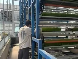 “稻” 梦空间:立体育秧智控工厂搭起黑土地 “空中粮仓”—— 智能算法破局寒地水稻育秧 “三率难题”