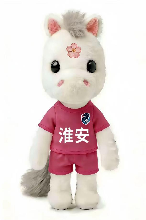 淮安市文旅集团带来的朵朵(白色)代表淮安的温情与传承，骐骐(黑色)则象征着力量与速度，两只小马在一起便是“骐骐朵朵”，寓意淮安队“奇迹多多”，旗开得胜!