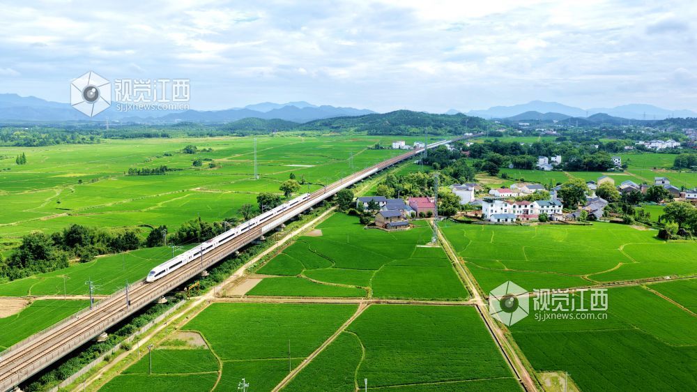 2026年5月18日，江西省吉安市峡江县水边镇义桥村境内，高铁列车飞驰在广阔的绿色田园上，与稻田、民居、青山相映成景，呈现出一幅秀美的乡村田园画卷。