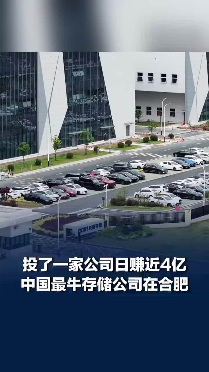 中国最牛存储公司日赚近4亿