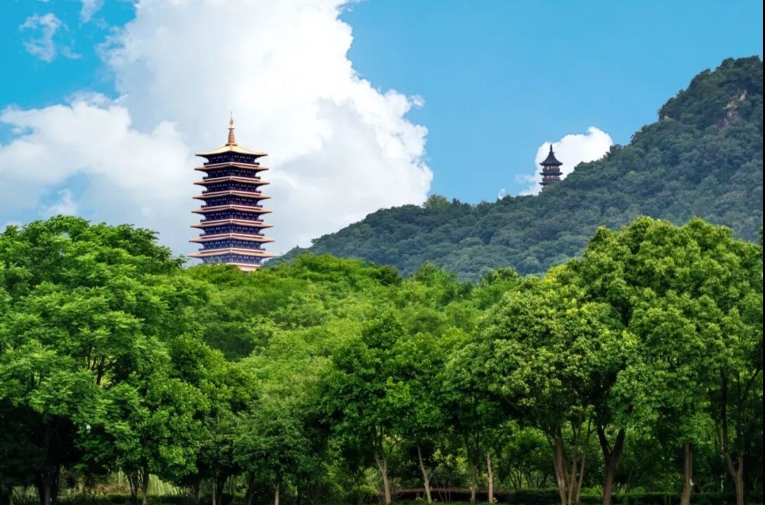 文化疗愈
