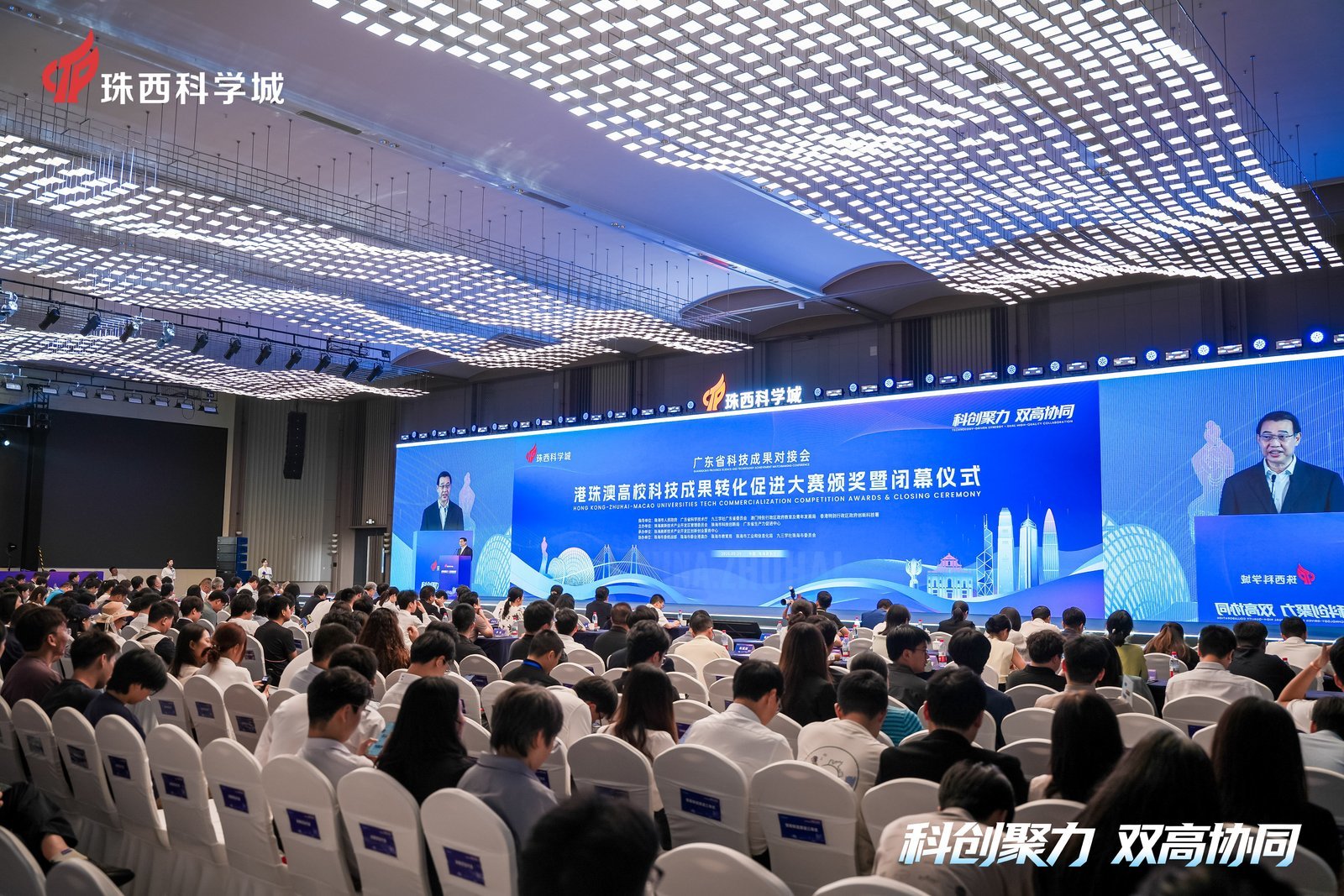 “双高协同”破壁垒 看港珠澳高校科技成果如何落地生根