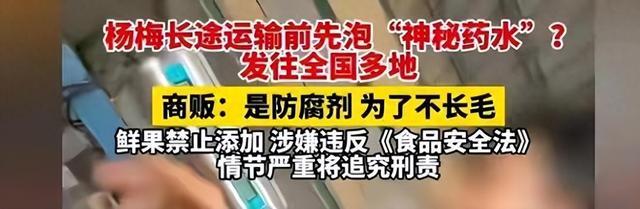 福建产业危机:四大“名产”自毁长城,毒杨梅仅冰山一角
