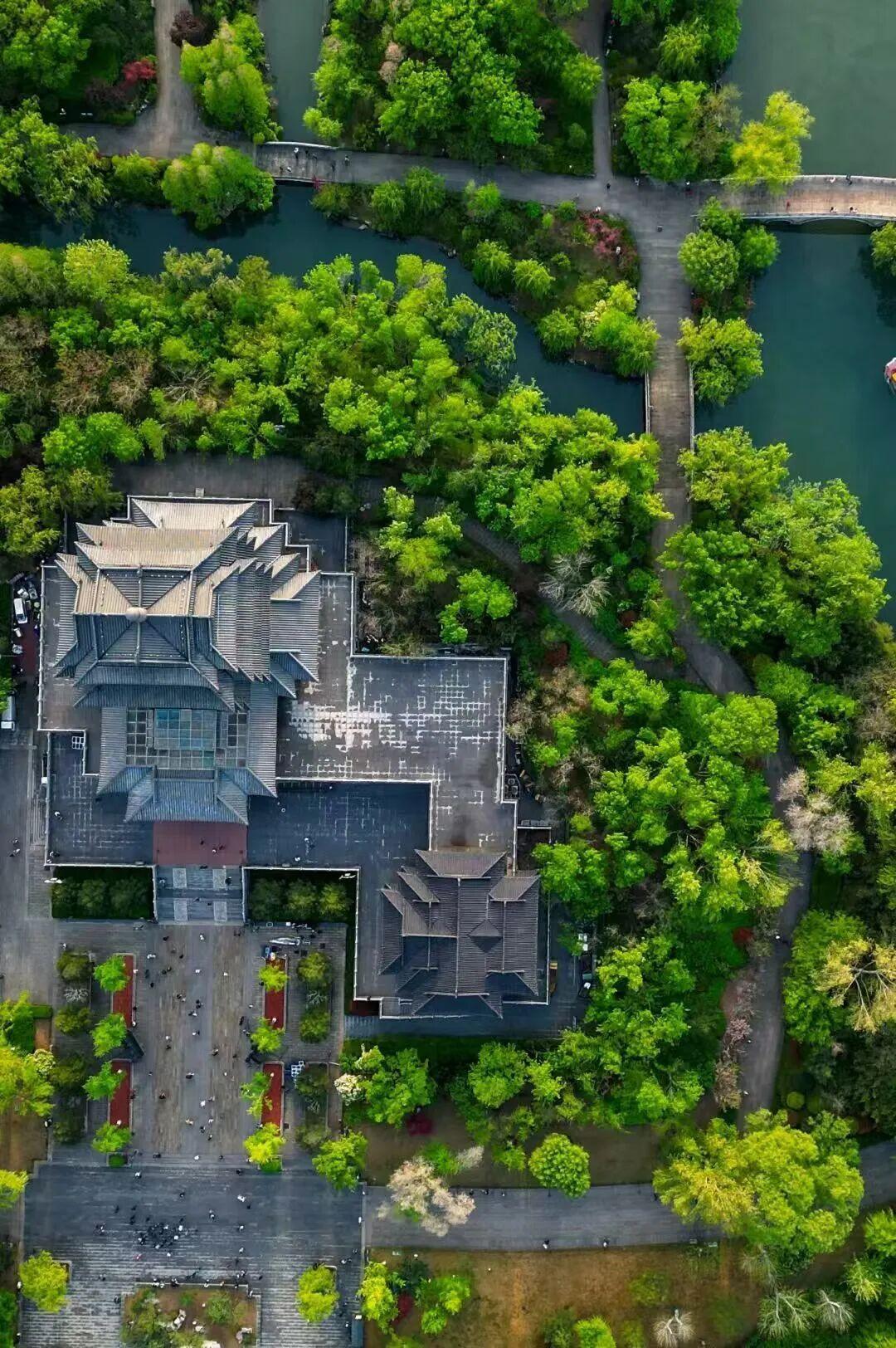 图 | 邵凯