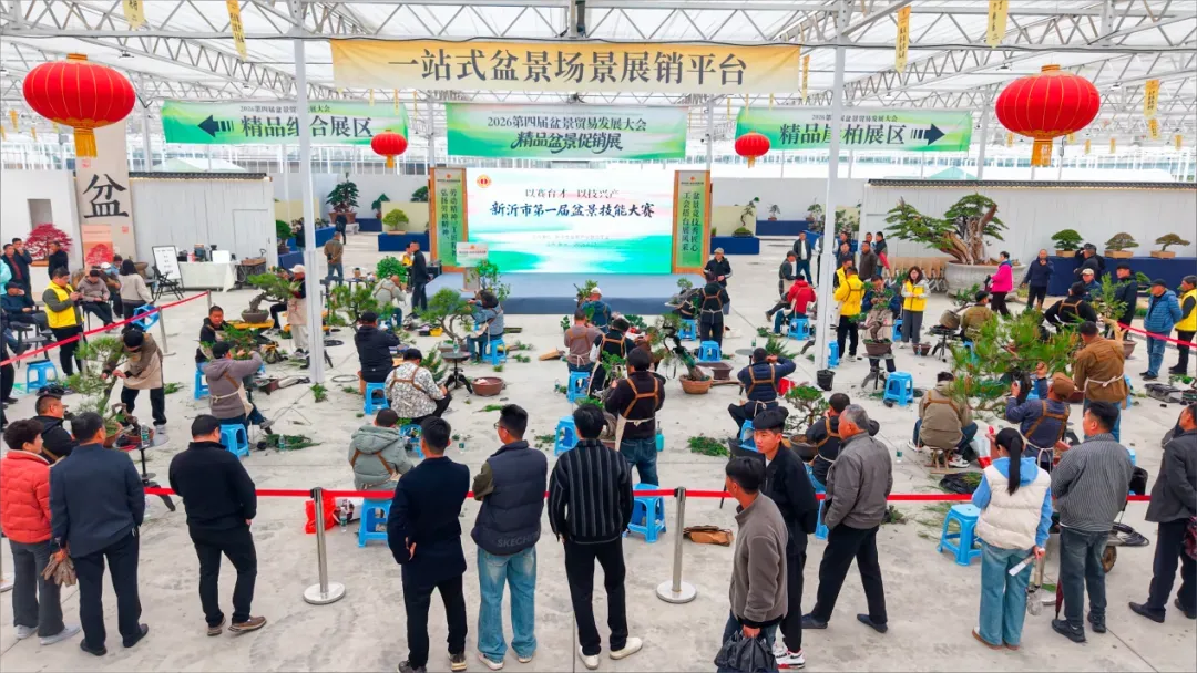 方寸盆景，如何长成18亿“美丽经济”？