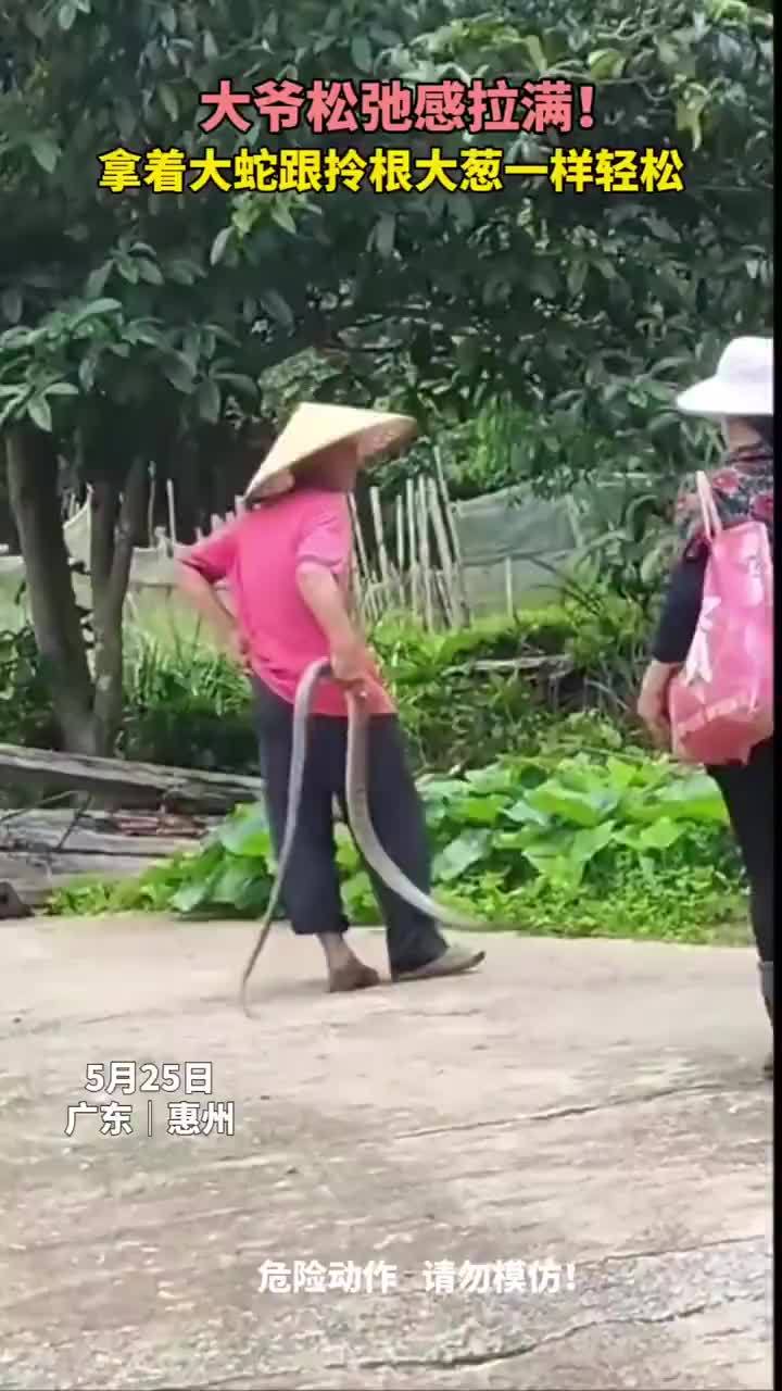 大爷拎蛇跟拎根葱一样轻松