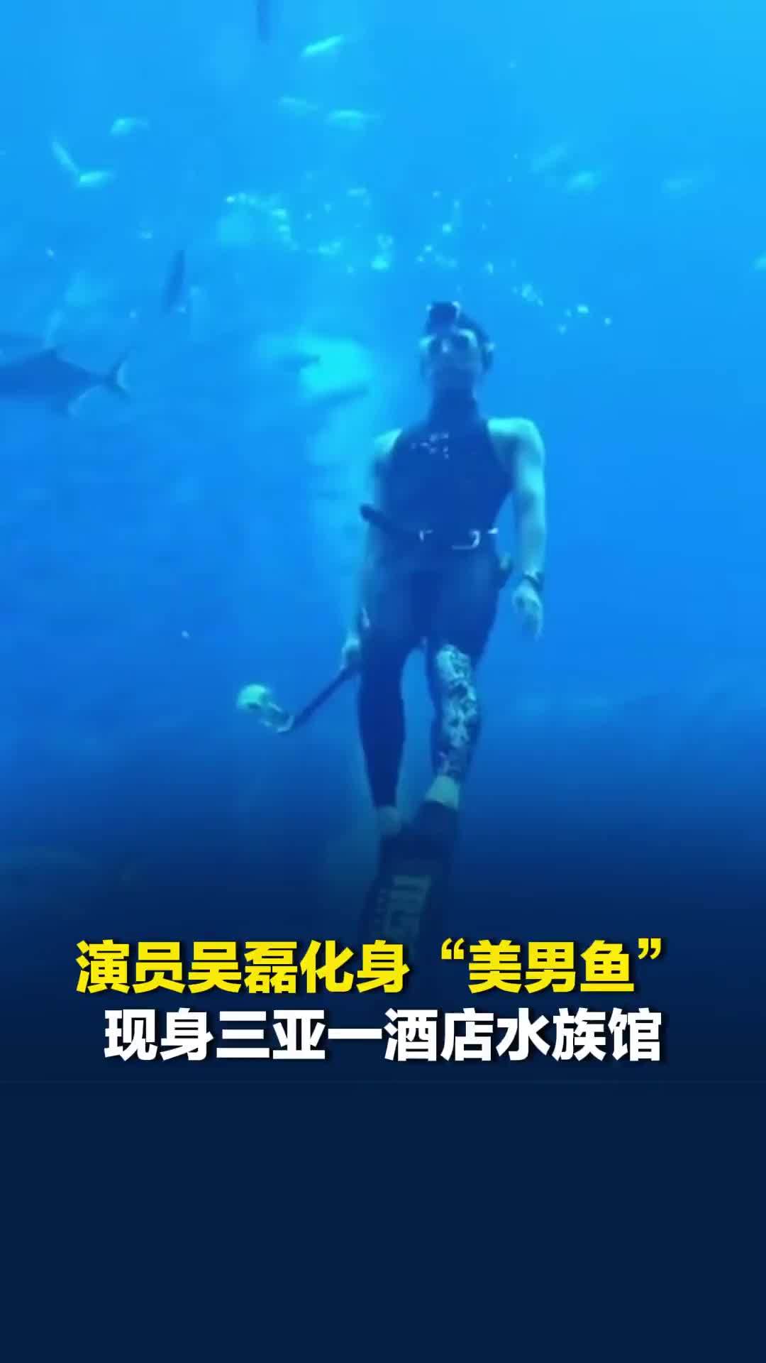 演员吴磊化身“美男鱼”现身三亚一酒店水族馆，当地文旅官宣期待“骑有此理”海南篇