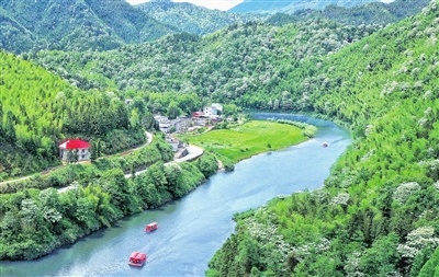 江西萍乡：山乡景如画，桐花扮碧水（图）