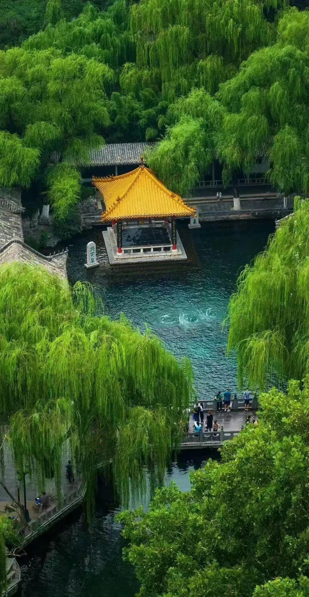 趵突泉 图 | 王啸