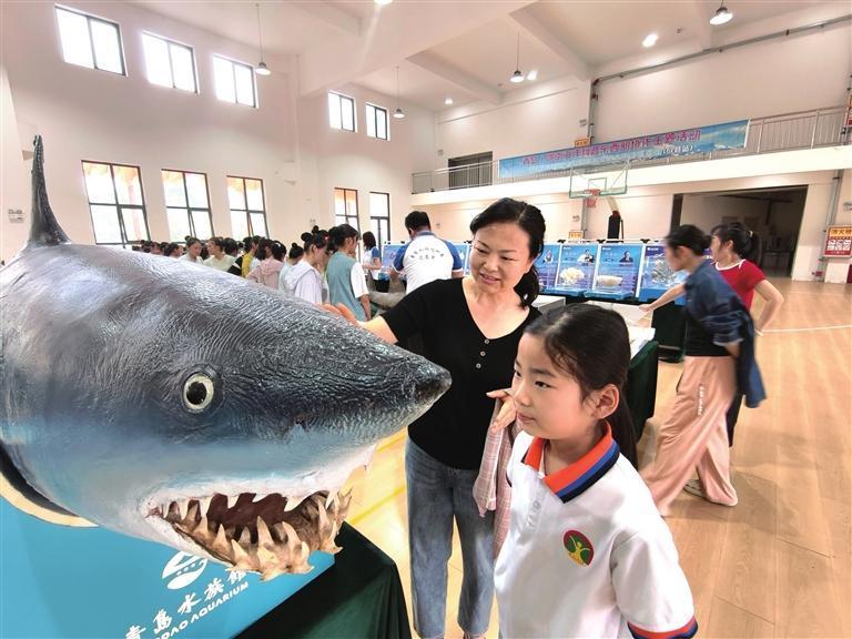 5月24日，“山海情牵 筑梦蔚蓝”青岛&middot;陇南海洋科普大篷车西部巡回展在成县实验小学开展。此次展出包括海洋科普图文展、海洋生物标本展、科普互动展等展示与体验，吸引广大市民和青少年前来观展体验。本报记者　吴庭栋　摄