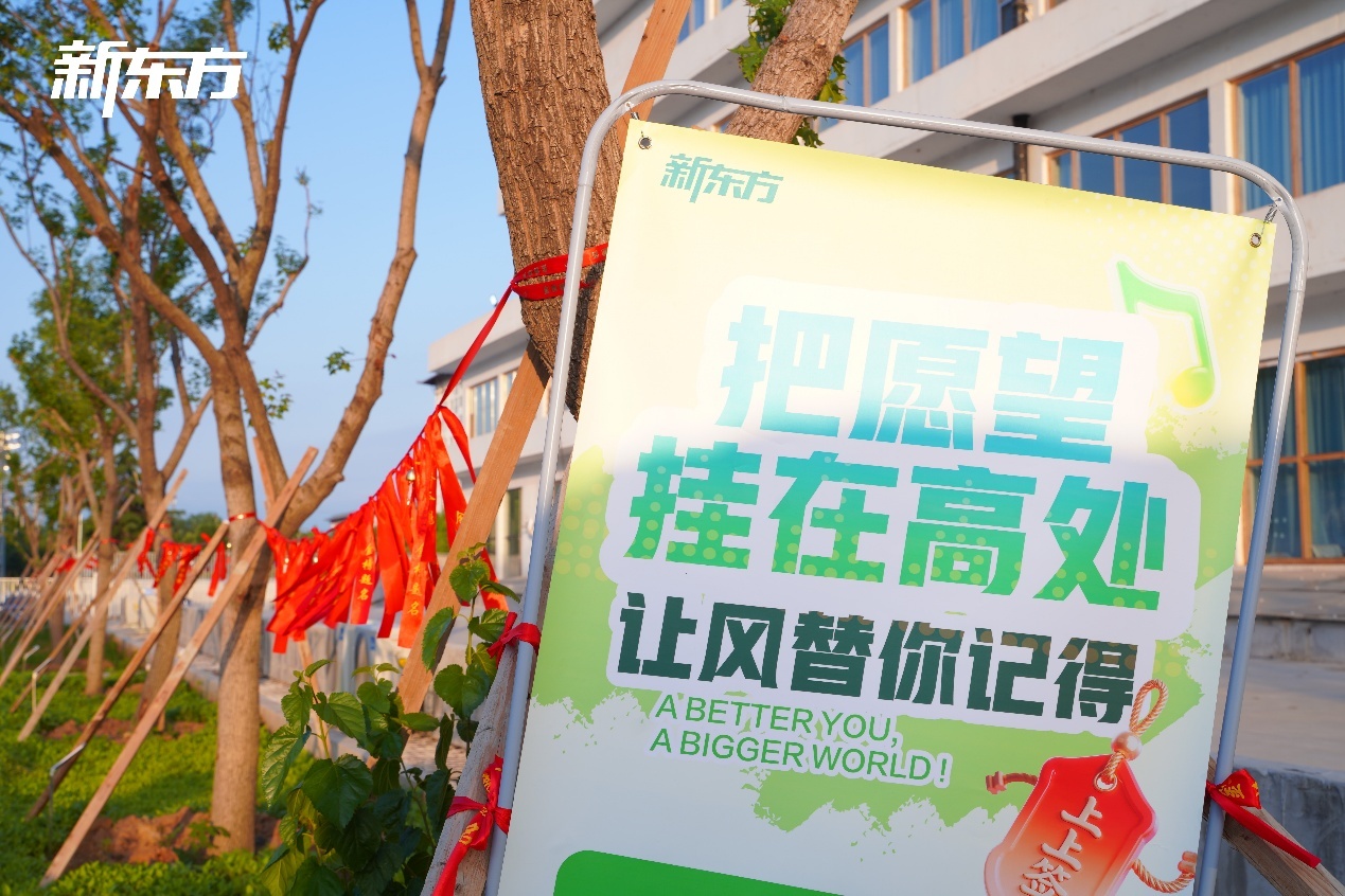 “泉力以赴,圆梦今夏”:济南新东方千名高三学子星光游园会燃情减压