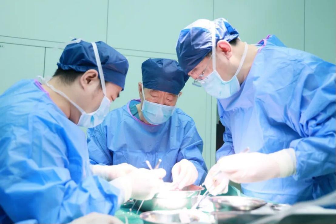 从首例到可复制:亚洲第二例异种肾移植在西安成功