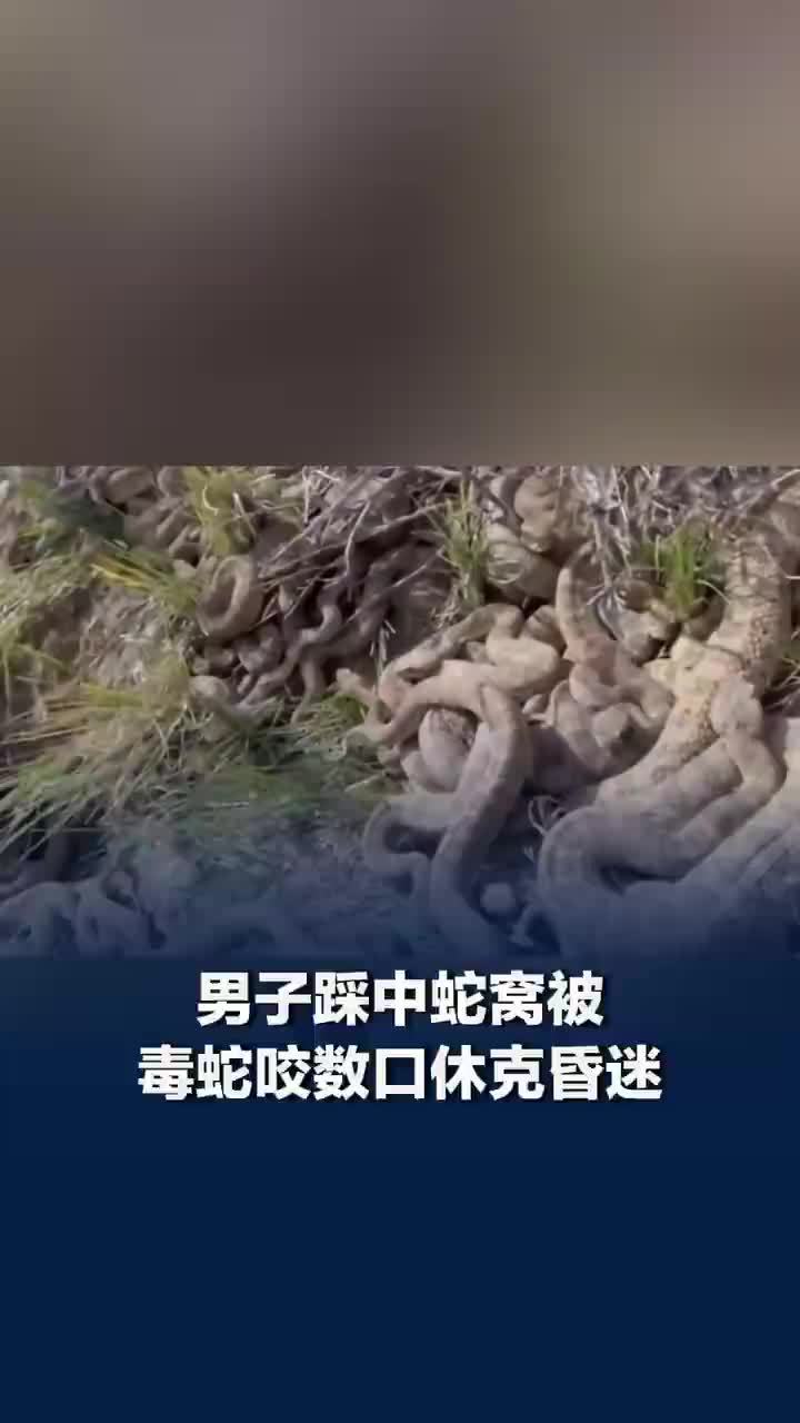 男子踩中蛇窝被毒蛇咬数口休克昏迷