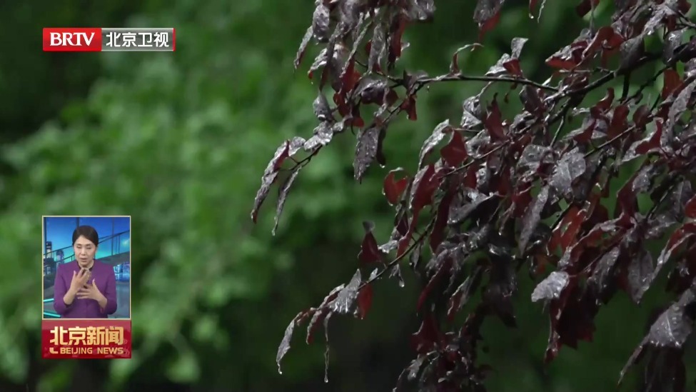 本周前期多雨 后期气温上升