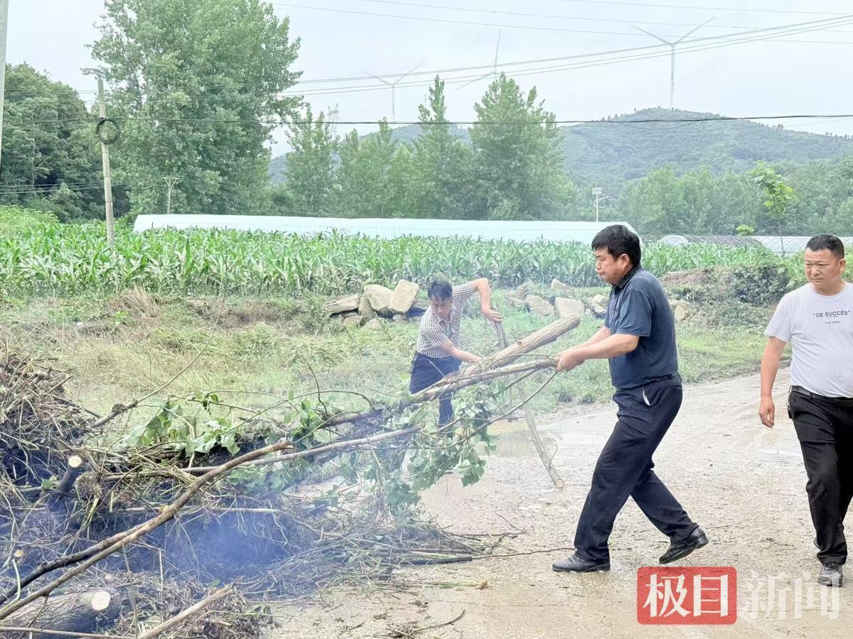 图片15.png