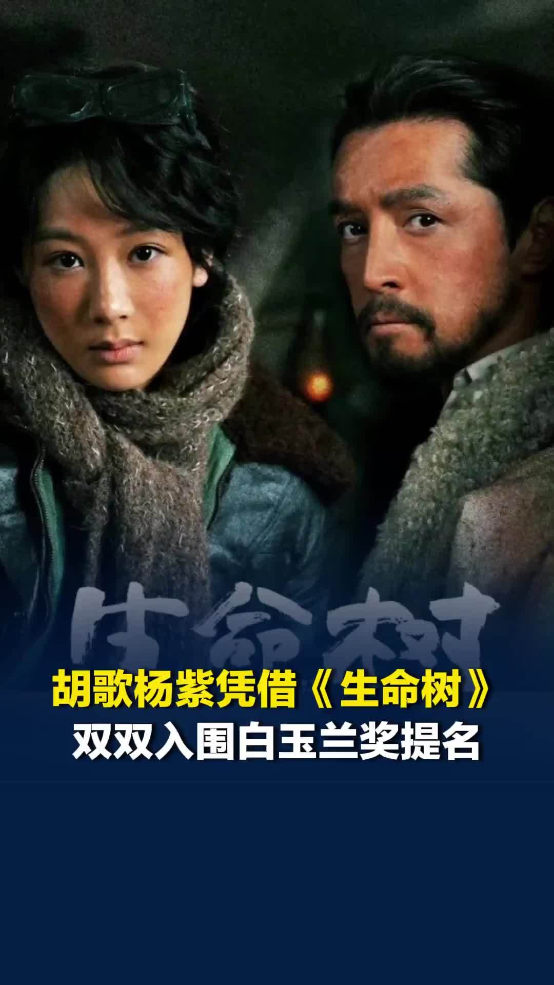 胡歌杨紫凭借《生命树》双双入围白玉兰奖提名