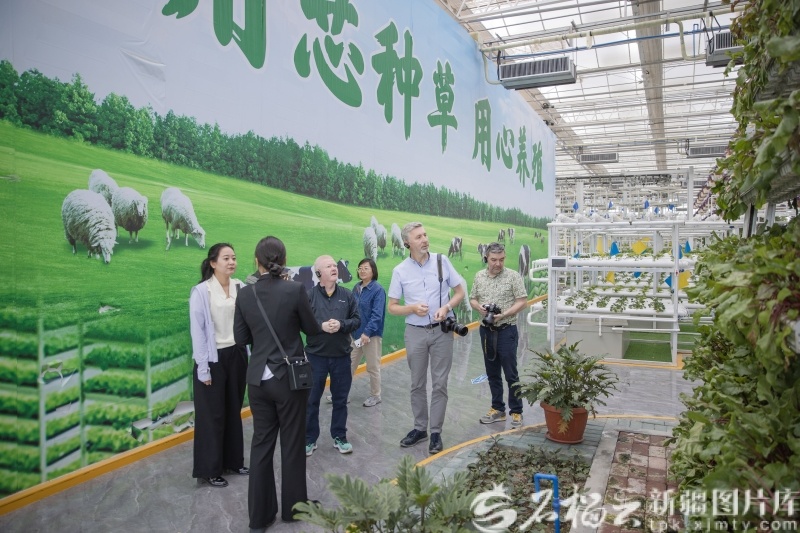 5月25日,北爱尔兰媒体代表团参观新疆农业博览园智慧农业科技馆。巨海成摄