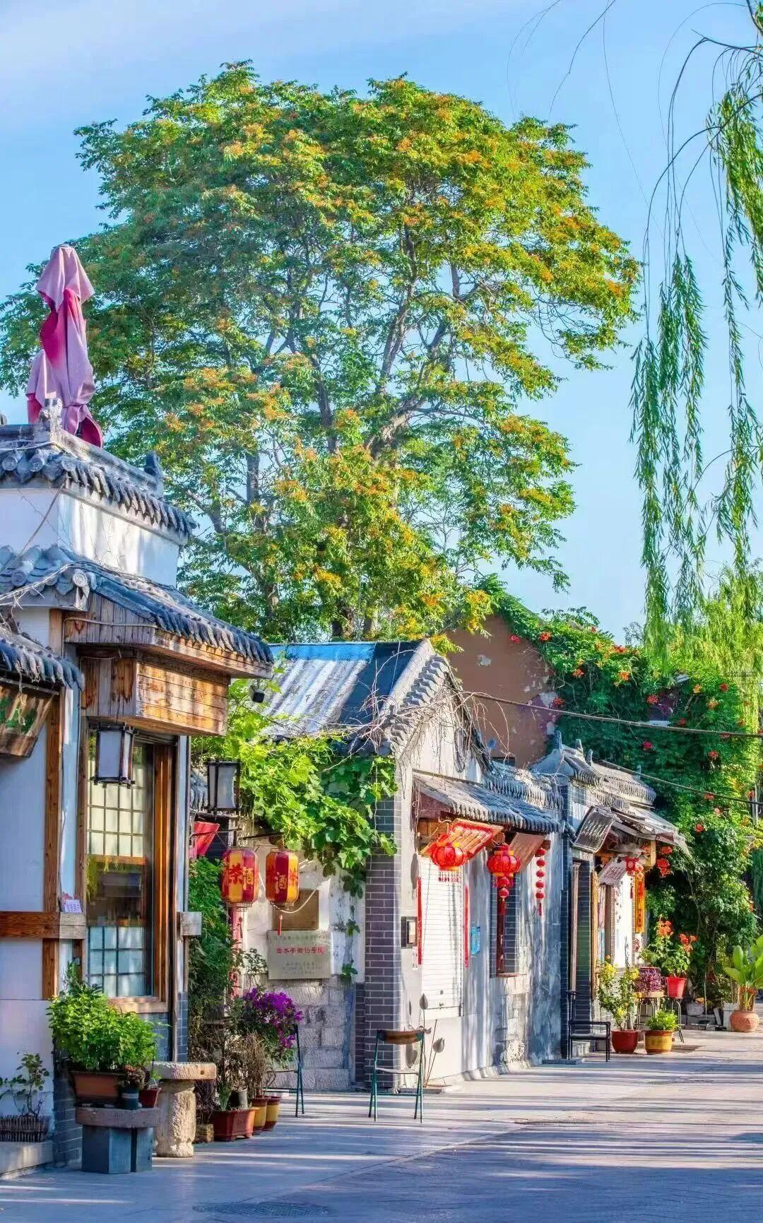 图 | 李锋