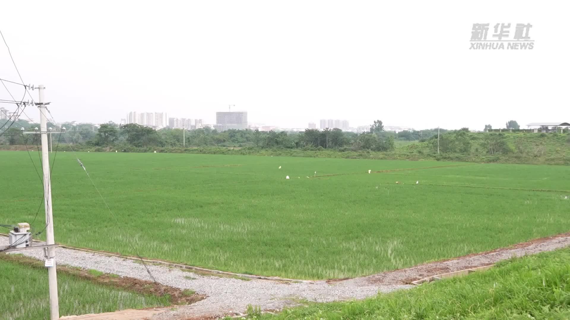 江西鄱阳：闻汛而动巡堤查险 未雨绸缪备足物资