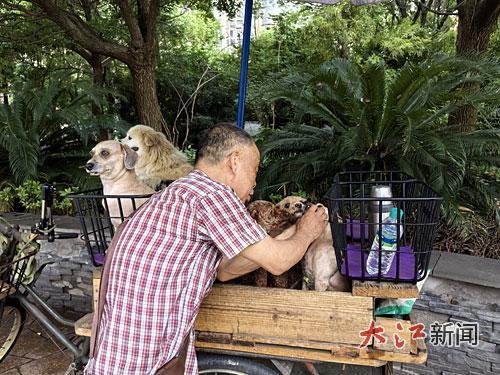 李爷爷和他的狗狗们