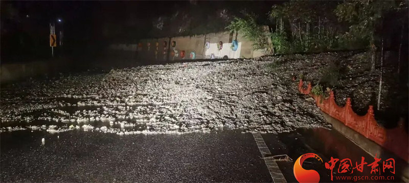 陇南市水毁路段
