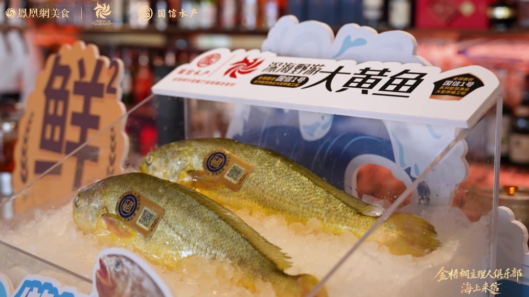 金梧桐主理人俱乐部《海上来信》北京站精彩瞬间