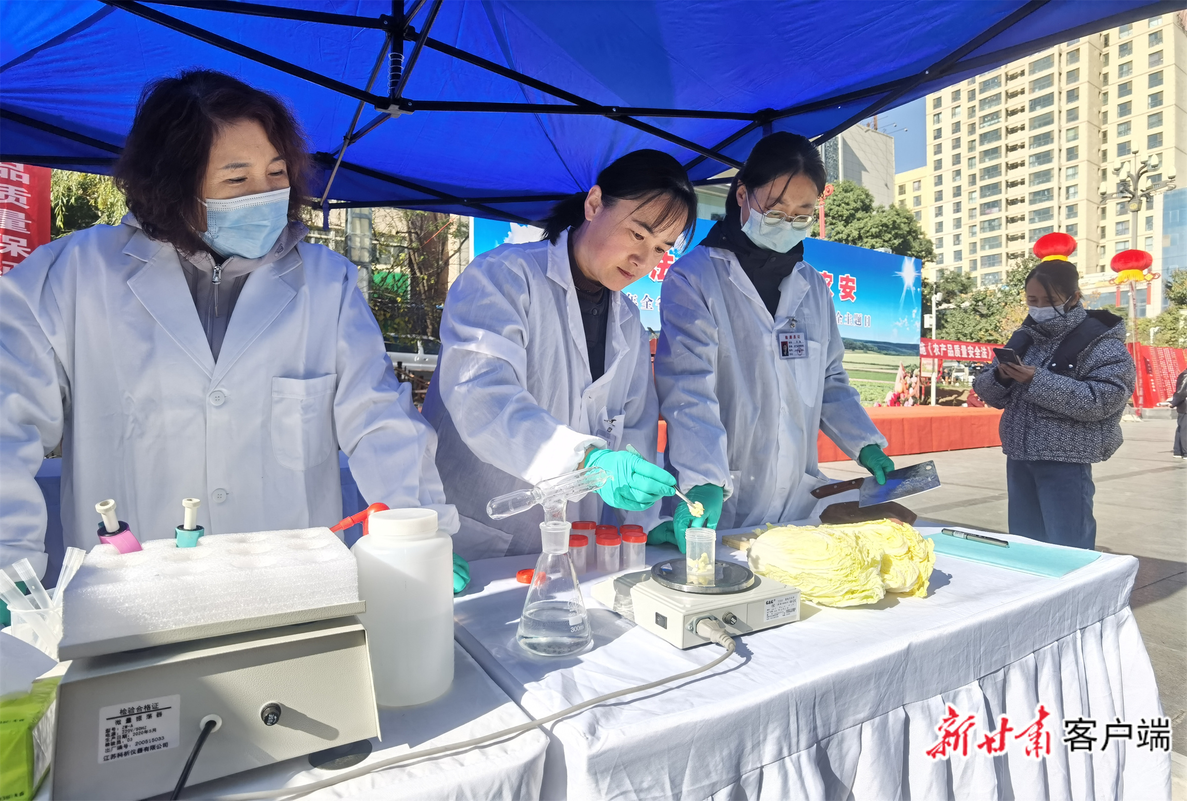 技术人员对娃娃菜进行农残检测