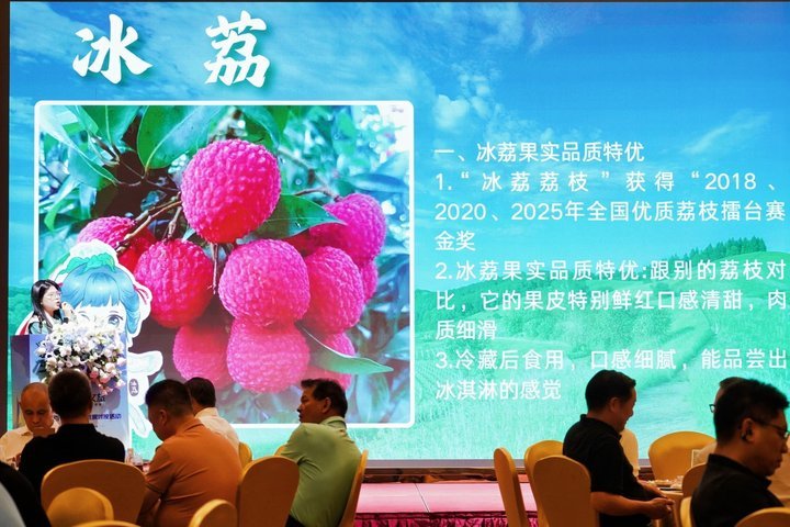 大湾区旅行业界齐聚东莞 深度踩线解锁“百千万”文旅新魅力