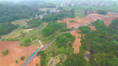 江西鹰潭：绿了山头 富了心头（图）