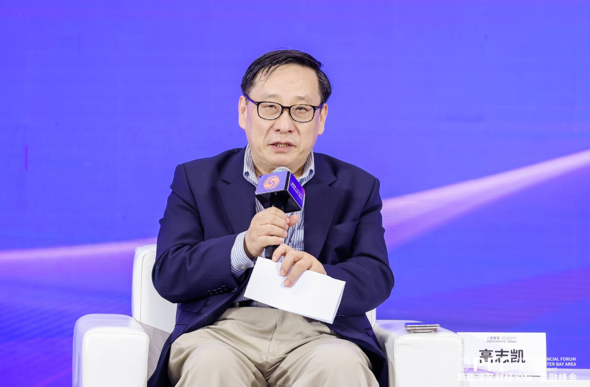 全球化智库副主任高志凯