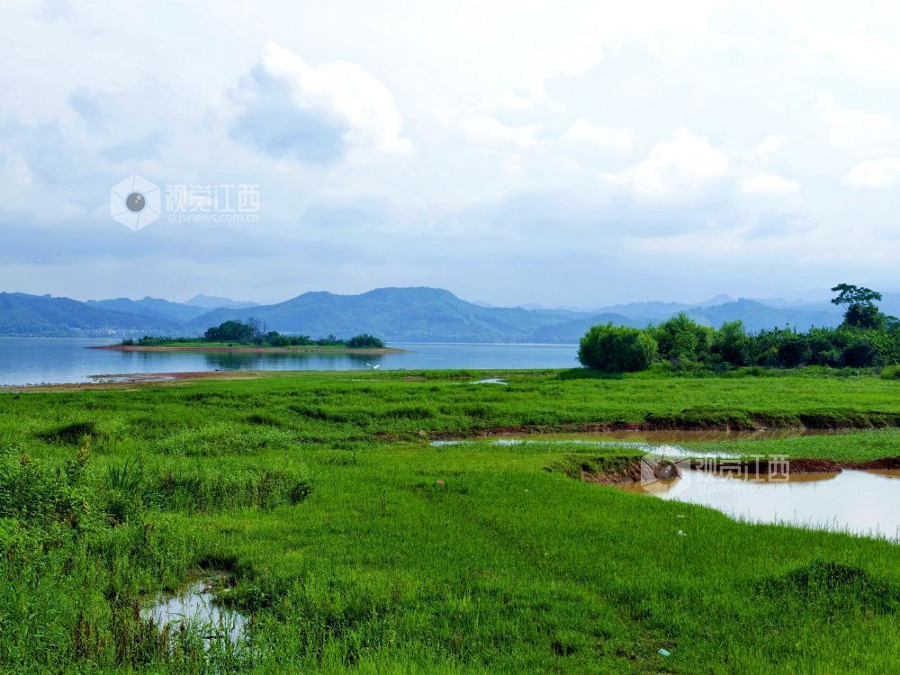 钤阳湖云浅水静,云影垂落湖面、与远山洲渚相映成趣,勾勒出清爽秀美的生态图景。