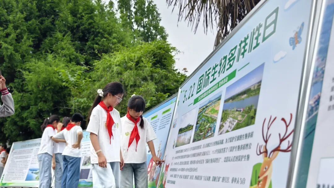 四十载初心如磐，徐州环保基因在乡村课堂悄然传承