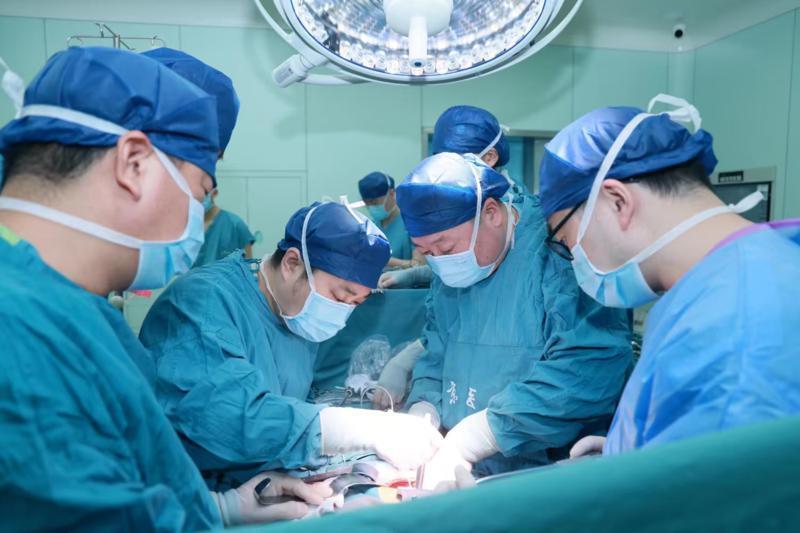 从首例到可复制:亚洲第二例异种肾移植在西安成功