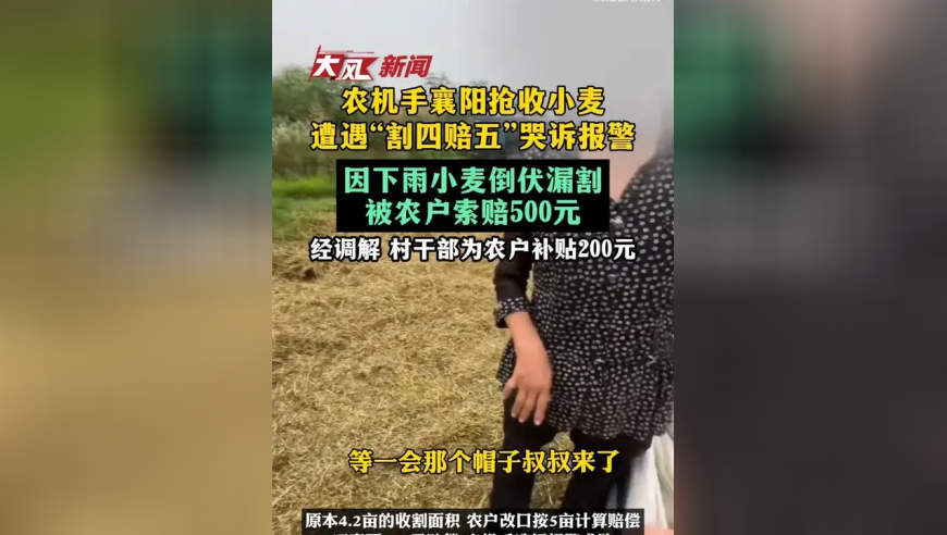 农机手抢收小麦遭遇“割四赔五”哭诉报警：因下雨小麦倒伏漏割，被农户索赔500元