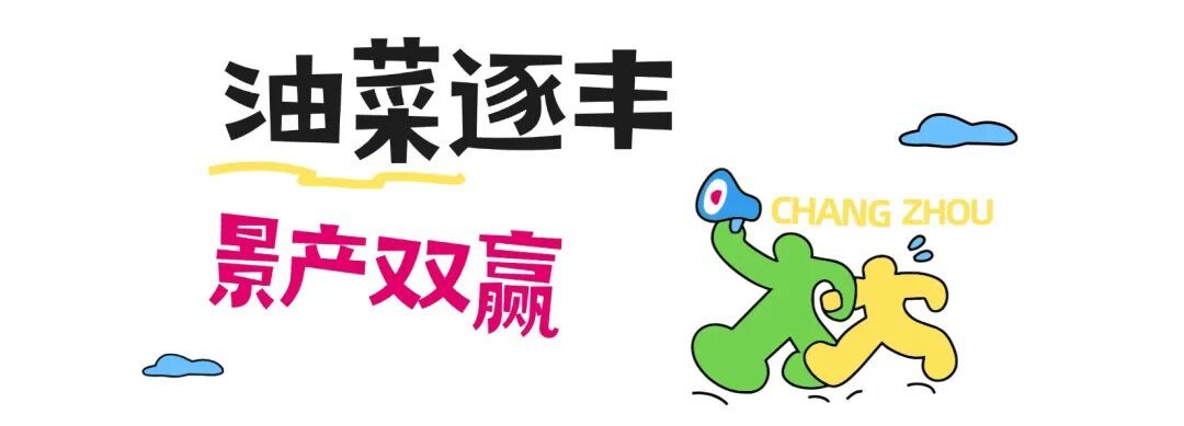 绣球花、油菜花.jpg