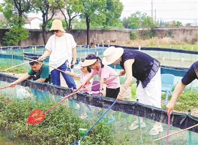 钓小龙虾