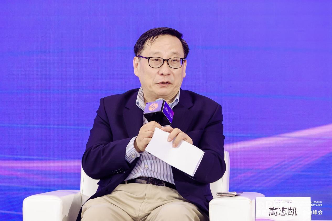 全球化智库副主任高志凯