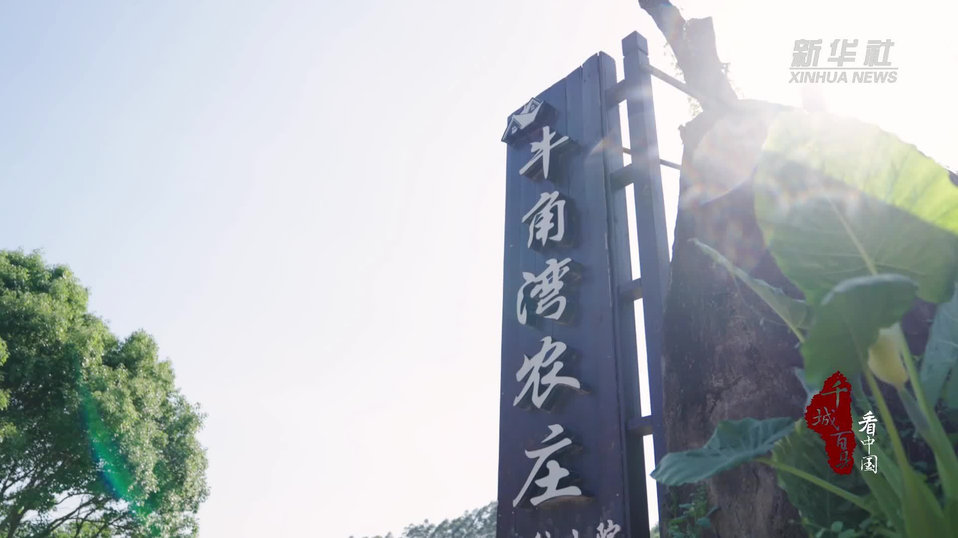 千城百县看中国｜寻闽味：山泉鱼鲜