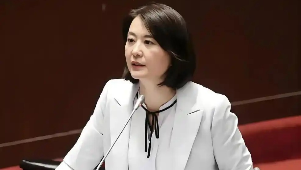 沈伯洋批蒋万安“没解决缺电问题”，王鸿薇打脸：缺电缘于民进党