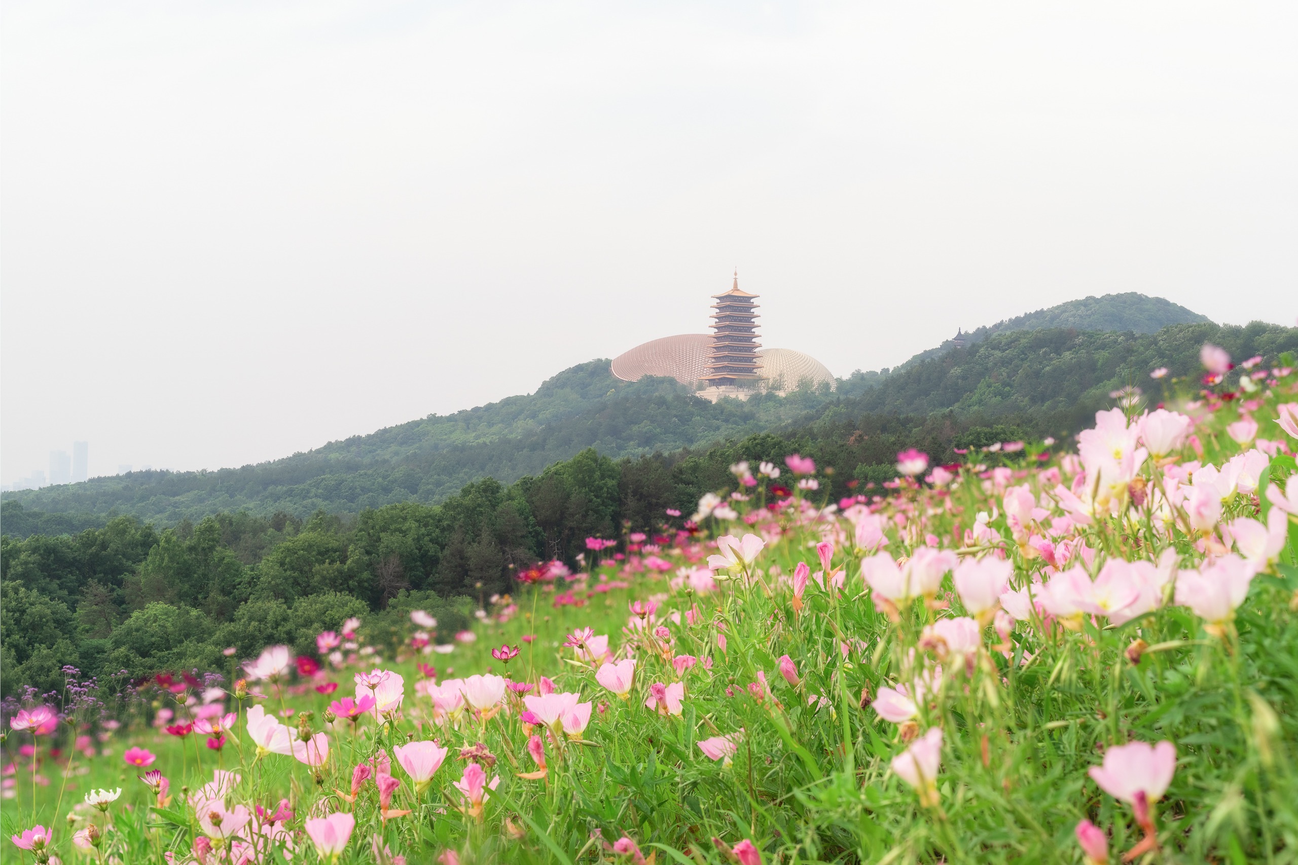 山林疗愈